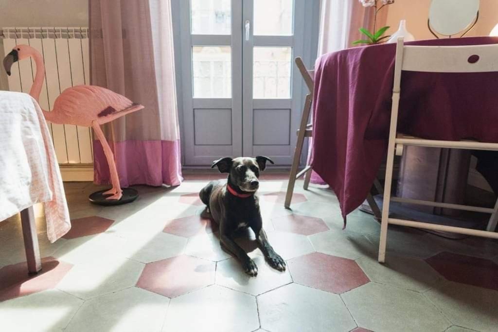 Casa Dani&Swing Bed&Books Bed & Breakfast Turin Bagian luar foto